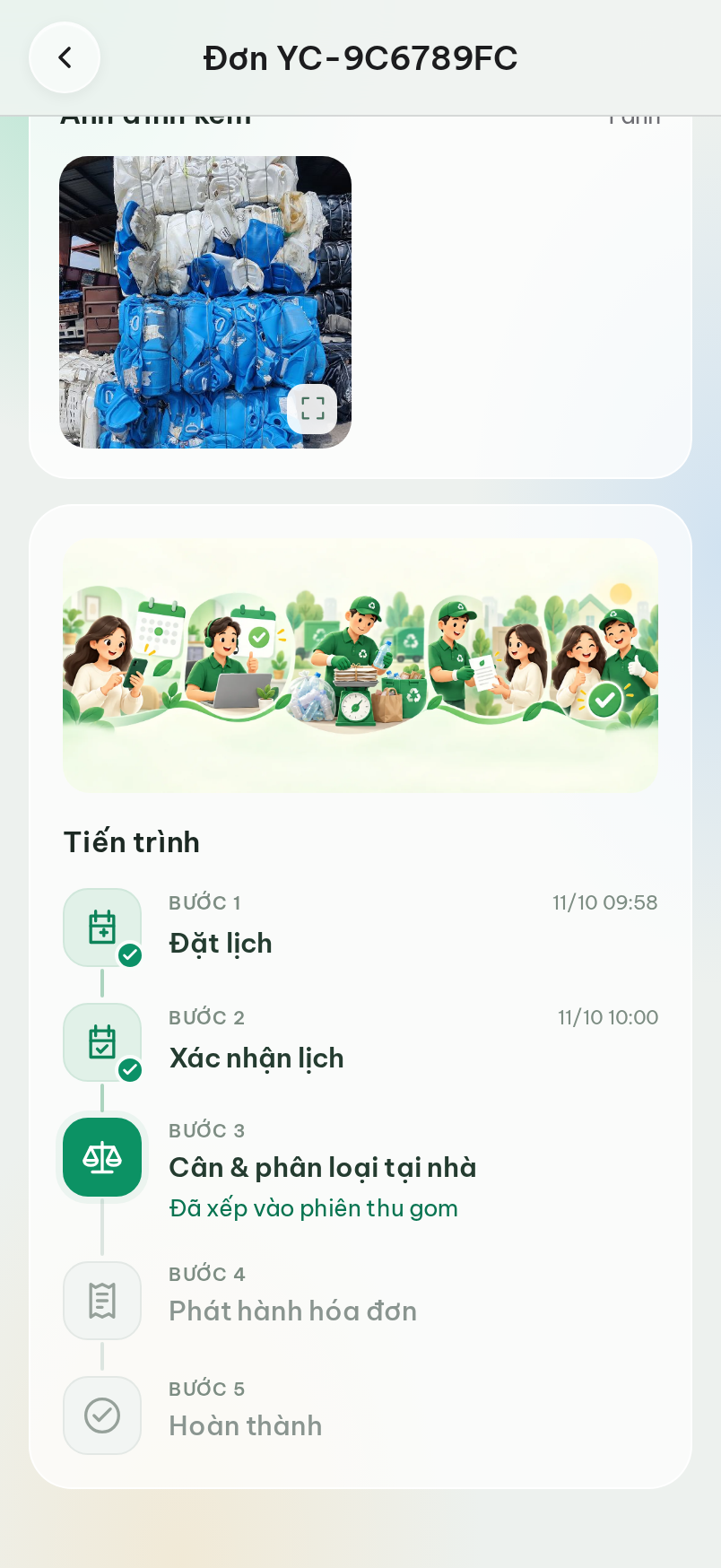 Chi tiết đơn: tiến trình 5 bước, lịch và người thu gom.
